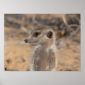 Het Fluffernutter Collectie - Dagdromen Poster (Voorkant)