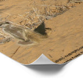 Het Fluffernutter Collectie - Familie Poster (Hoek)