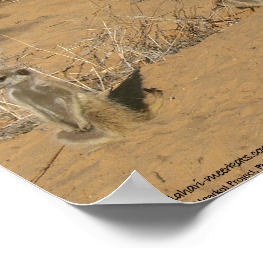 Het Fluffernutter Collectie - Familie Poster (Hoek)