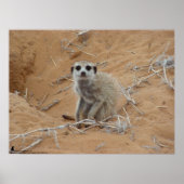 Het Fluffernutter-Collectie - glimlachen Poster (Voorkant)