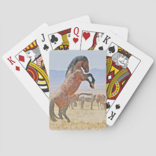 Het fokken Stallion, Klaar om te spelen, kaartreek Pokerkaarten