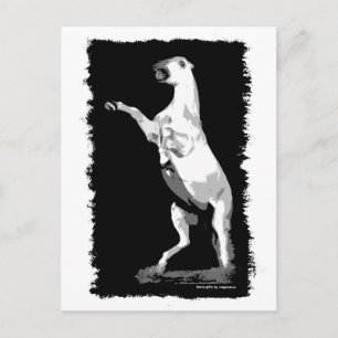 Het fokken van Andalusië Stallion Briefkaart