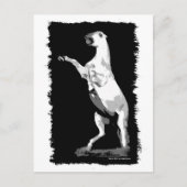 Het fokken van Andalusië Stallion Briefkaart (Voorkant)