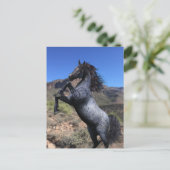 Het fokken van Blue Roan Horse in het Briefkaart (Staand voorkant)