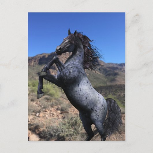 Het fokken van Blue Roan Horse in het Briefkaart (Voorkant)