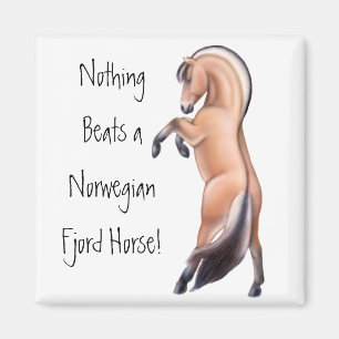 Het fokken van Noorse paardenpil voor Fjord Magneet