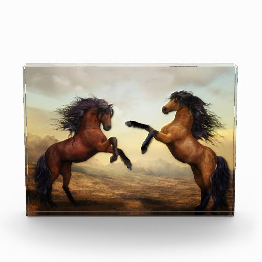 Het fokken van twee paarden fotoblokken (Voorkant)