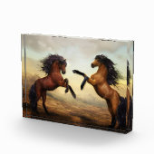 Het fokken van twee paarden fotoblokken (Rechts)