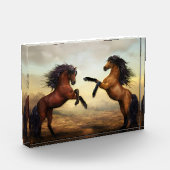 Het fokken van twee paarden fotoblokken (Links)