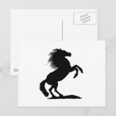Het fokken van zwarte hengst - briefkaart (Voorkant / Achterkant)