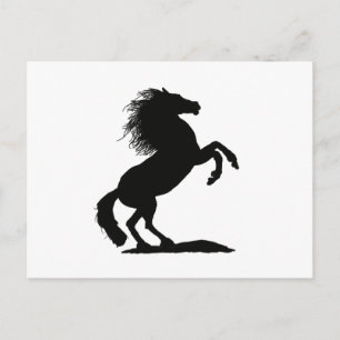 Het fokken van zwarte hengst - briefkaart