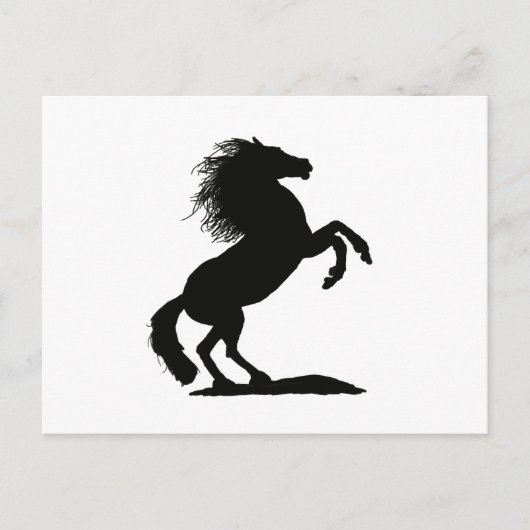 Het fokken van zwarte hengst - briefkaart (Voorkant)