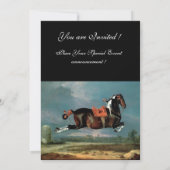 Het fokkonogram van het Piebald Horse "Ceheld" Kaart (Achterkant)