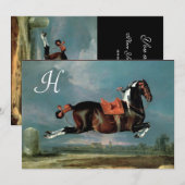 Het fokkonogram van het Piebald Horse "Ceheld" Kaart (Voorkant / Achterkant)
