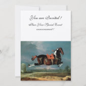 Het fokkonogram van het Piebald Horse "Ceheld" Kaart (Achterkant)