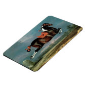 Het fokkonogram van het Piebald Horse "Ceheld" Magneet (Linkerzijde)