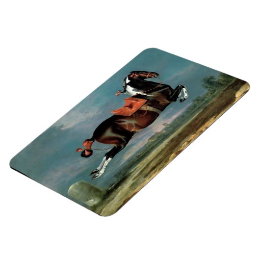 Het fokkonogram van het Piebald Horse "Ceheld" Magneet (Linkerzijde)