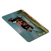 Het fokkonogram van het Piebald Horse "Ceheld" Magneet (Rechterzijde)