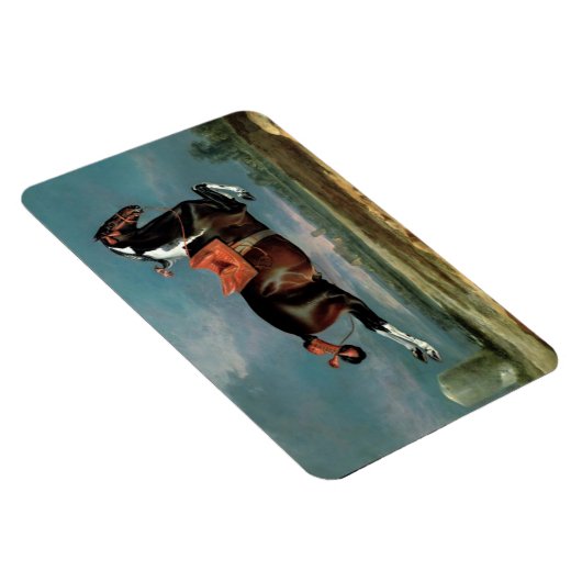 Het fokkonogram van het Piebald Horse "Ceheld" Magneet (Rechterzijde)