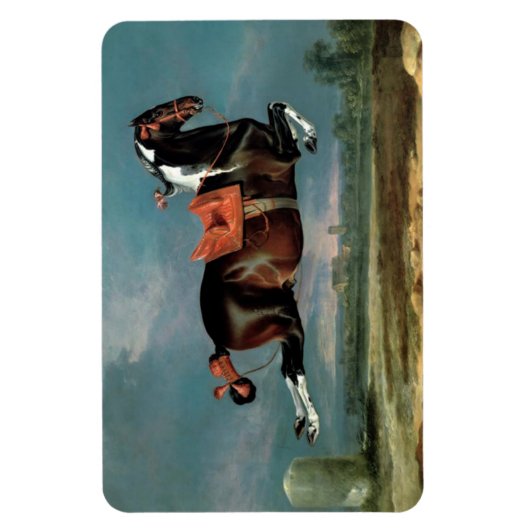 Het fokkonogram van het Piebald Horse "Ceheld" Magneet (Verticaal)