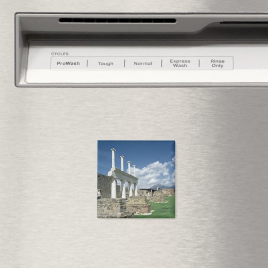 Het forum magneet (Insitu (Vaatwasser))