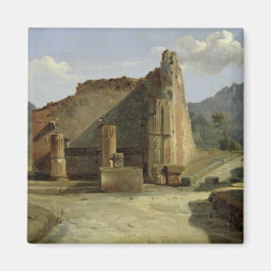 Het Forum van Pompeii Magneet