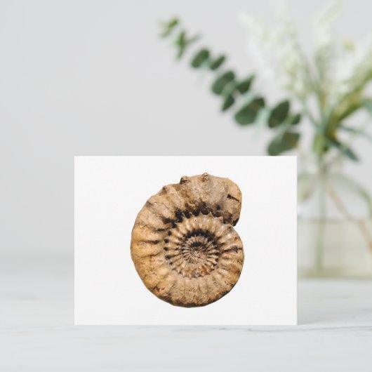 Het Fossiel van de ammoniet Briefkaart (Staand voorkant)