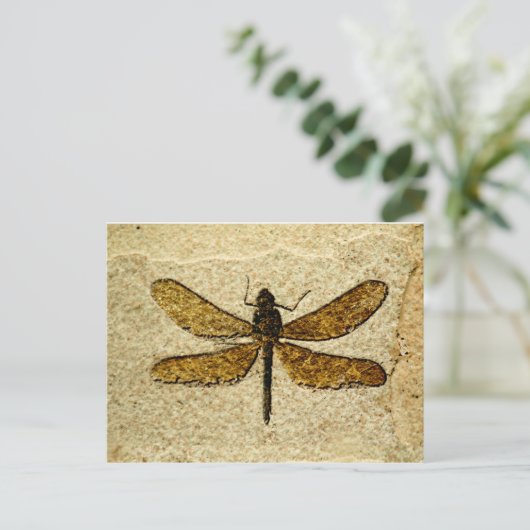 Het Fossiele Briefkaart van de libel (Staand voorkant)