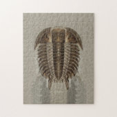Het Fossiele Raadsel van Trilobite Legpuzzel (Verticaal)