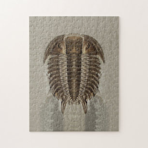 Het Fossiele Raadsel van Trilobite Legpuzzel
