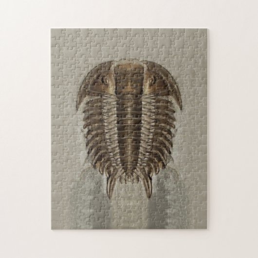 Het Fossiele Raadsel van Trilobite Legpuzzel (Verticaal)