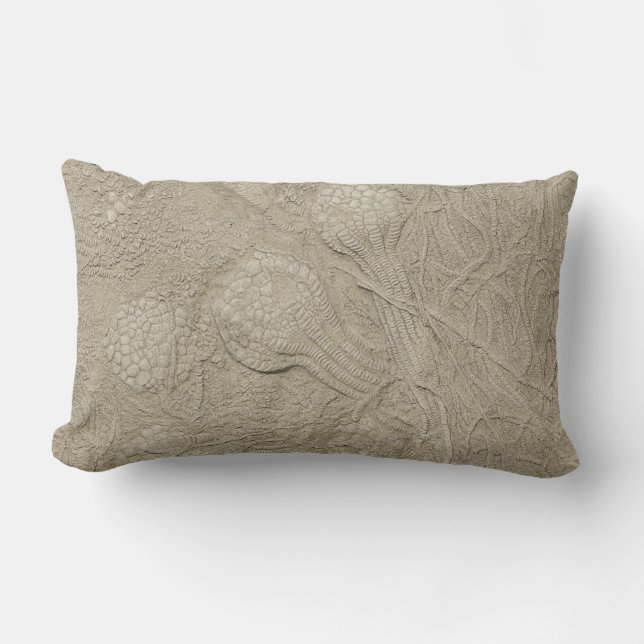 Het Fossil Cushion Collectie Kussen (Voorkant)