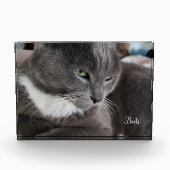 Het fotoblok van je huisdier (Voorkant)