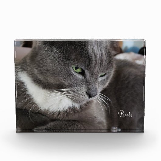 Het fotoblok van je huisdier (Voorkant)