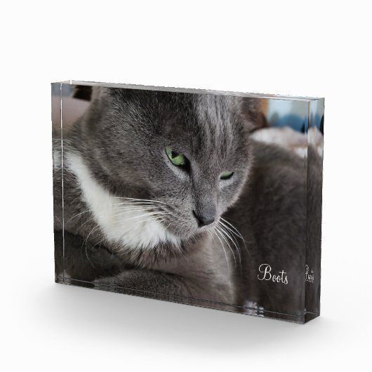 Het fotoblok van je huisdier (Rechts)