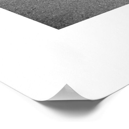 HET FOTOGRAFISCHE Poster (Hoek)