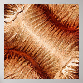 Het fragiele gebulder poster