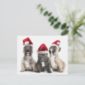 Het Franse buldog"puppy" zingt het dragen van de Feestdagenkaart (Staand voorkant)