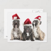 Het Franse buldog"puppy" zingt het dragen van de Feestdagenkaart (Voorkant / Achterkant)