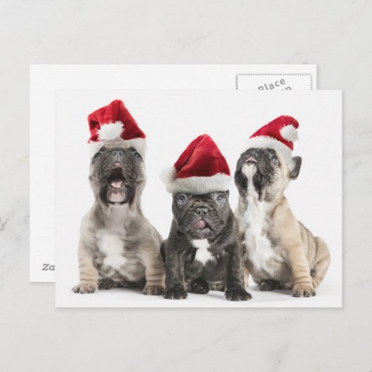 Het Franse buldog"puppy" zingt het dragen van de Feestdagenkaart (Voorkant / Achterkant)