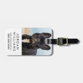 Het Franse Bulldog Spelen in de zand Bagagelabel (Voorkant horizontaal)