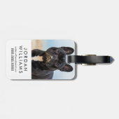 Het Franse Bulldog Spelen in de zand Bagagelabel (Achterkant horizontaal)