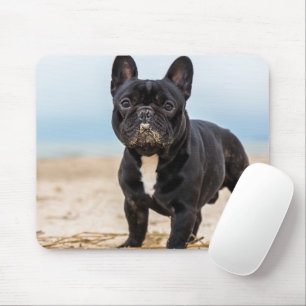 Het Franse Bulldog Spelen in de zand Muismat
