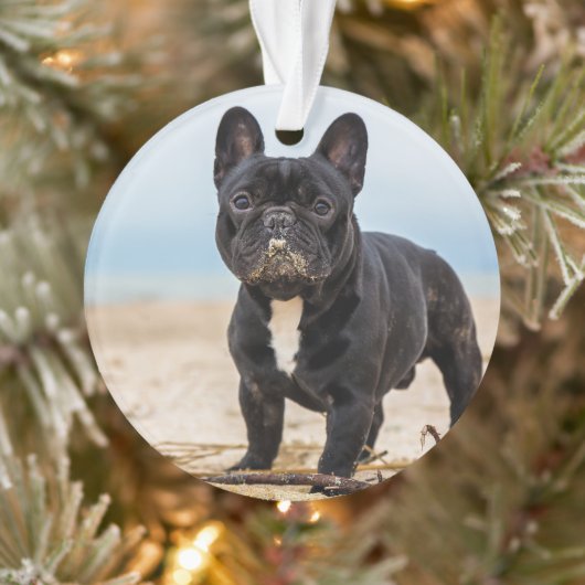 Het Franse Bulldog Spelen in de zand Ornament (Boom)