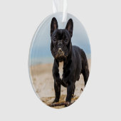 Het Franse Bulldog Spelen in de zand Ornament (voorkant)