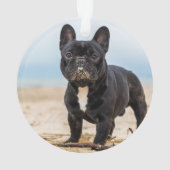 Het Franse Bulldog Spelen in de zand Ornament (achterkant)