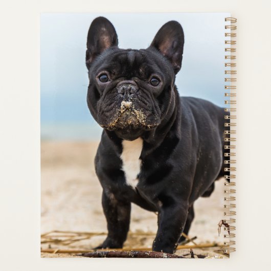Het Franse Bulldog Spelen in de zand Planner (Achterkant)