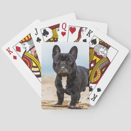 Het Franse Bulldog Spelen in de zand Pokerkaarten (Achterkant)