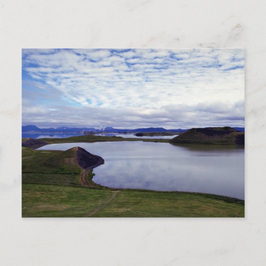 Het Fratercula Arctica, IJsland Briefkaart (Voorkant)