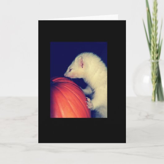 Het fret en de Pompoen Kaart (Voorkant)